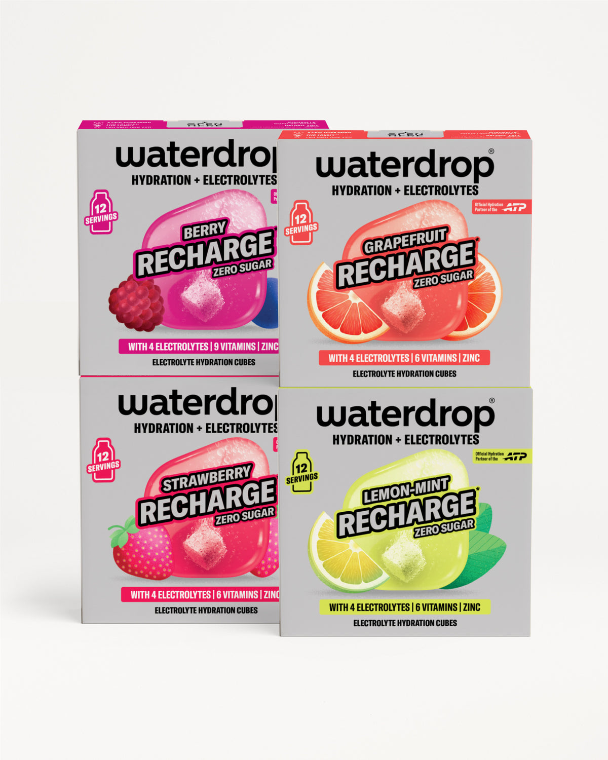 Microlyte RECHARGE Set